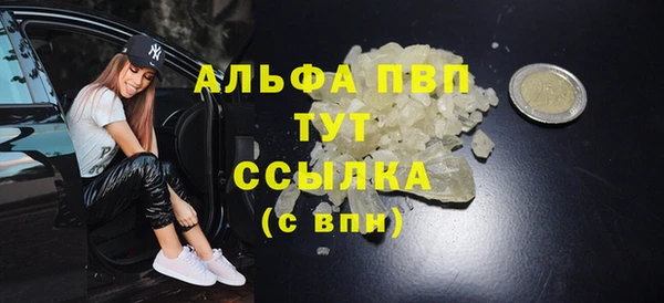 прущие грибы Покровск