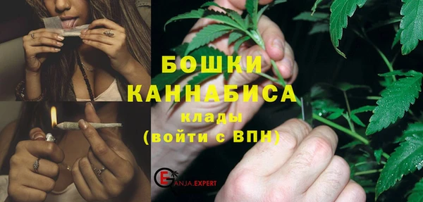 прущие грибы Покровск