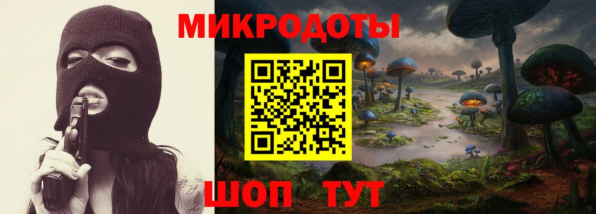Псилоцибиновые грибы прущие грибы  Псилоцибиновые грибы прущие грибы  Вход с VPN  Тутаев 